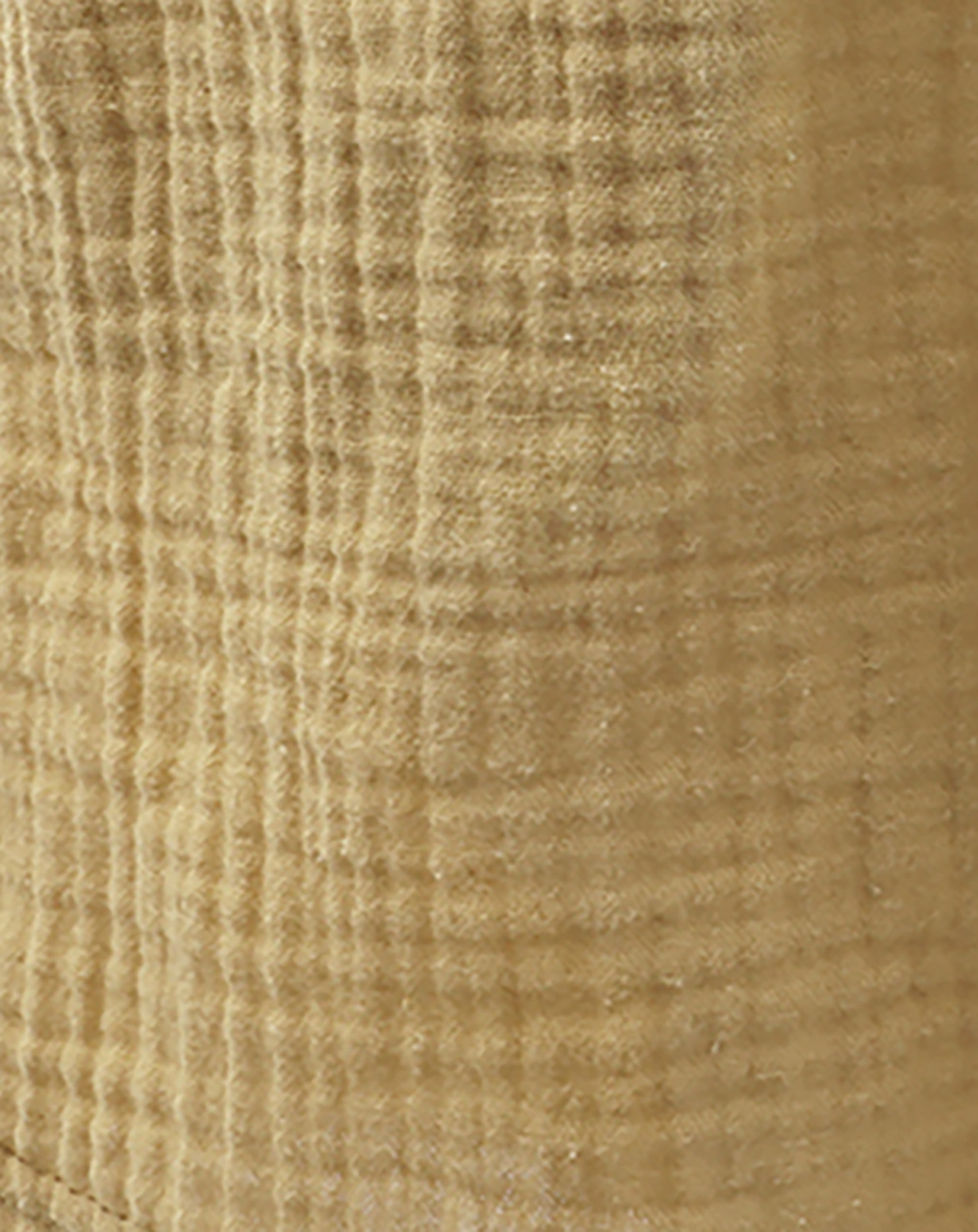 Shorts COTTON MINI in chai tea