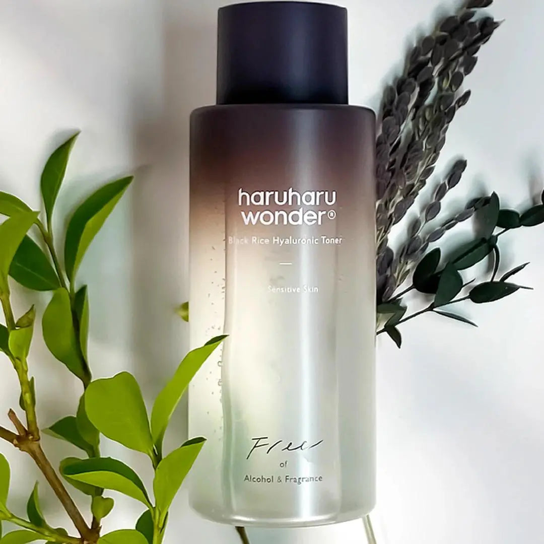 Black Rice Hyaluronic Toner Fragrance Free