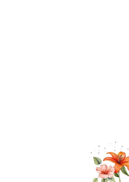 TMS | Verjaardagskaart | Illustratie