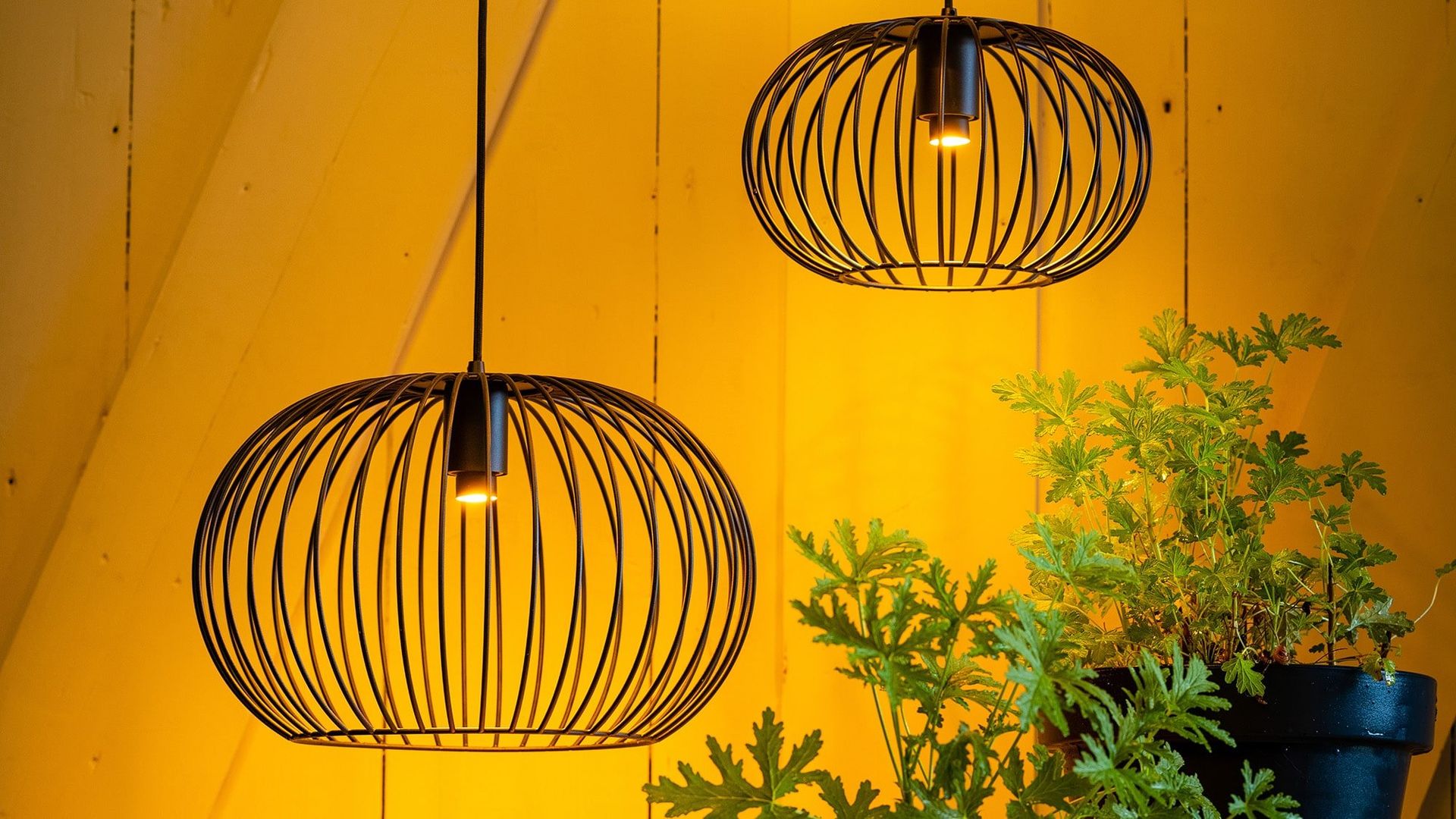 Eijerkamp Collectie   Wire 2.0 Plafondlamp