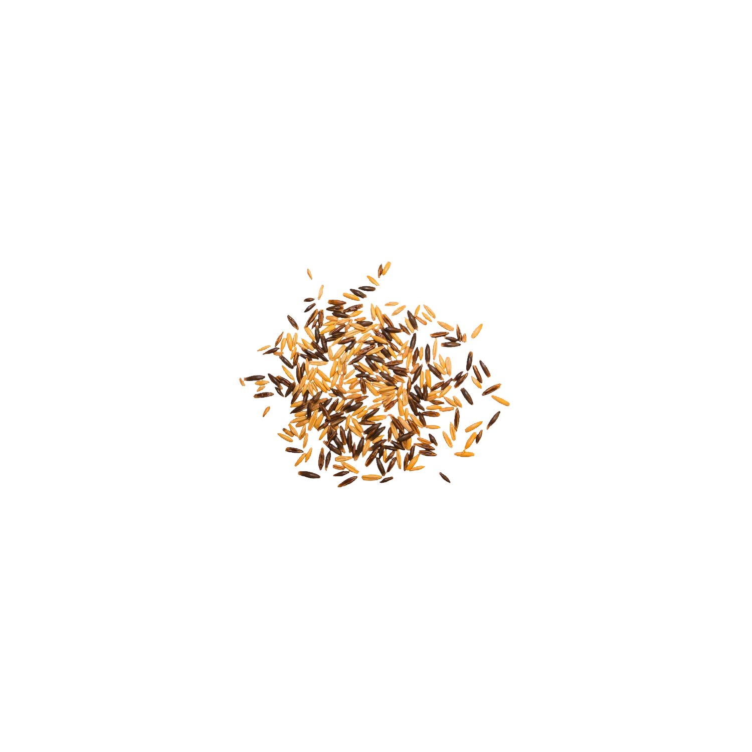 marstall Schwarz-Gold-Hafer  - 25 kg
