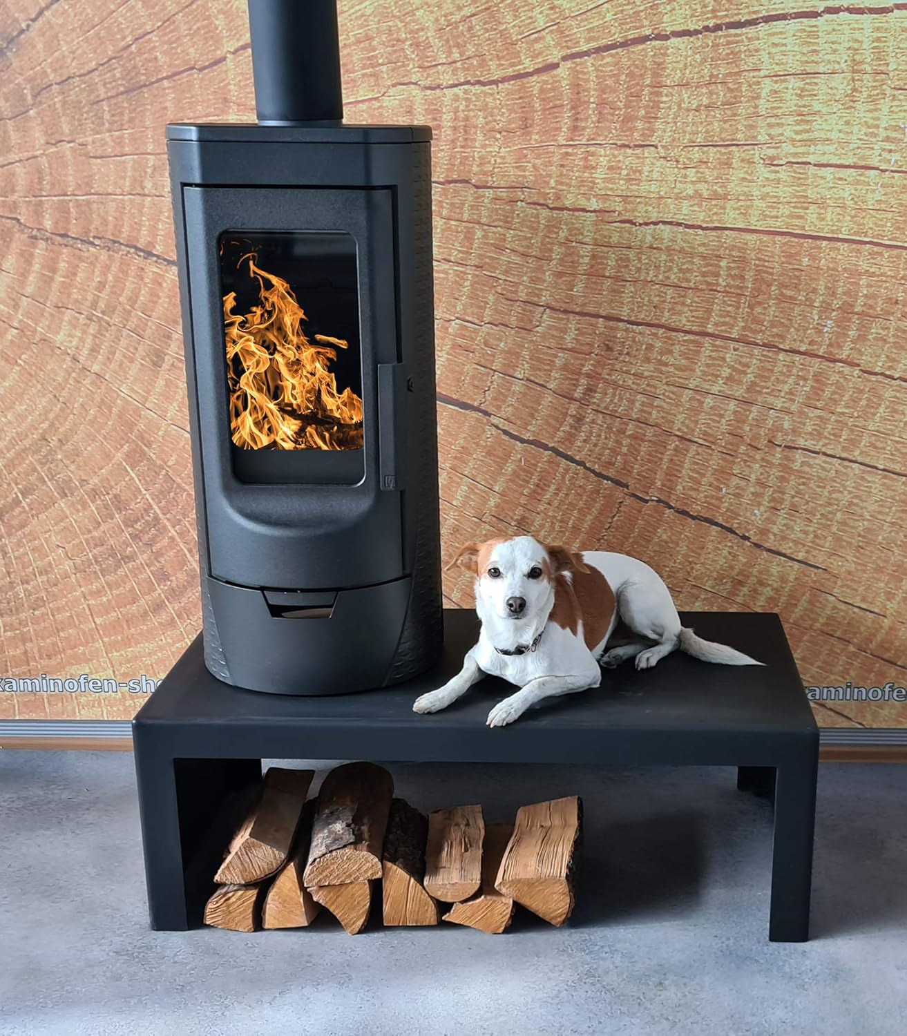 Plamen Tara - Gusskaminofen, Raumluftunabhängig - 6kW, Grau, Holz, Heizofen