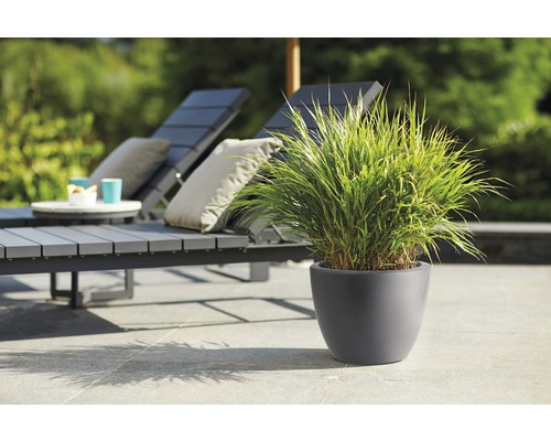 elho Pure zachte kunststof plantenpot, Ø 40 cm, H 30 cm, antraciet, inclusief wielen