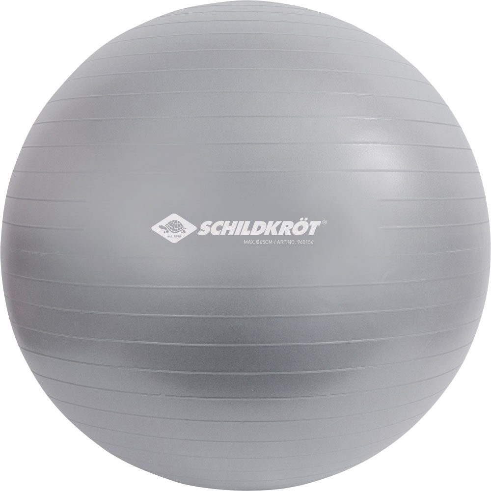 Schildkröt Fitness Gymnastikball 65cm silber