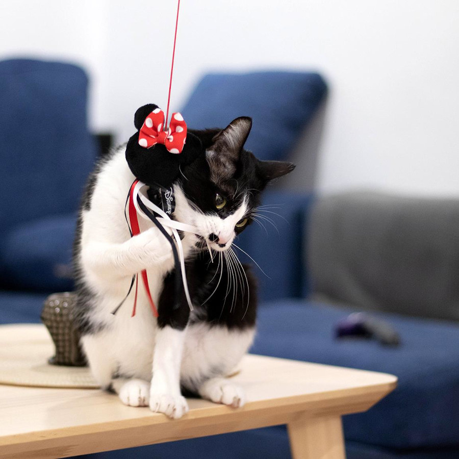 Varinha mágica da Minnie da Disney