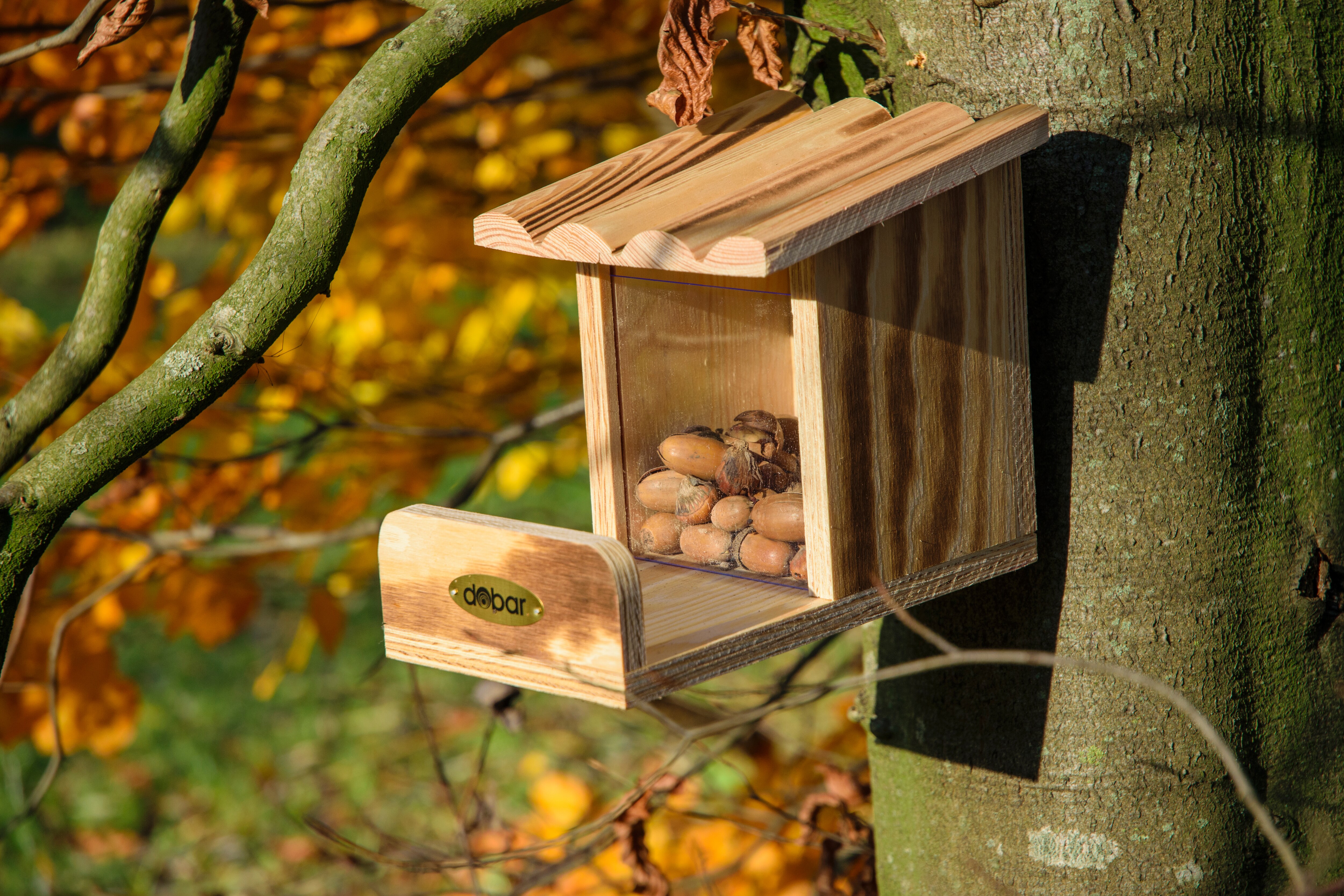 Eichhörnchen-Futterstation mit Futtersilo, Futterstelle aus Holz