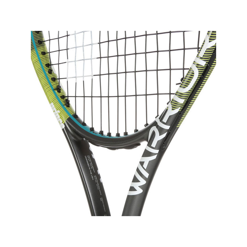 Warrior 100 300