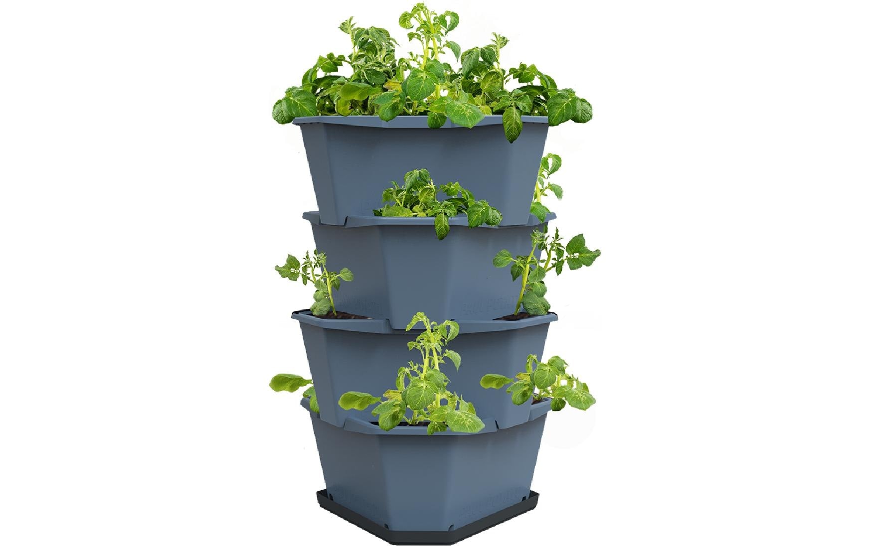 Gusta Garden Pflanzkübel »PAUL POT«