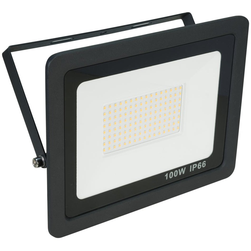 Eurolite LED IP FL-100 SMD flood light CW