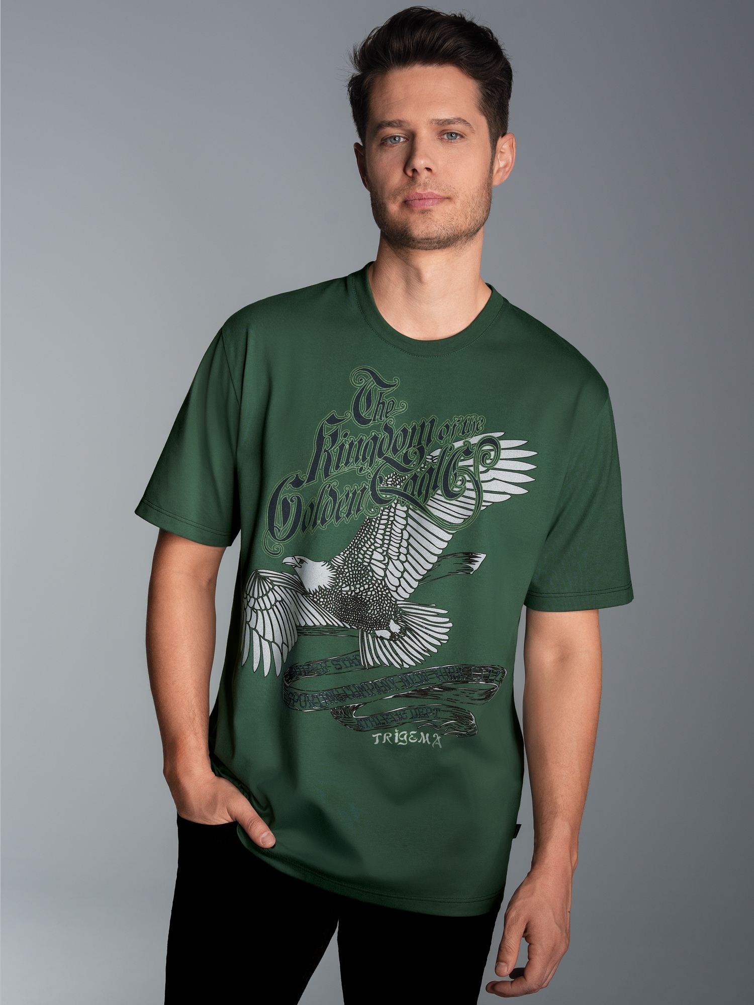T-Shirt mit großem Adler-Printmotiv Efeu