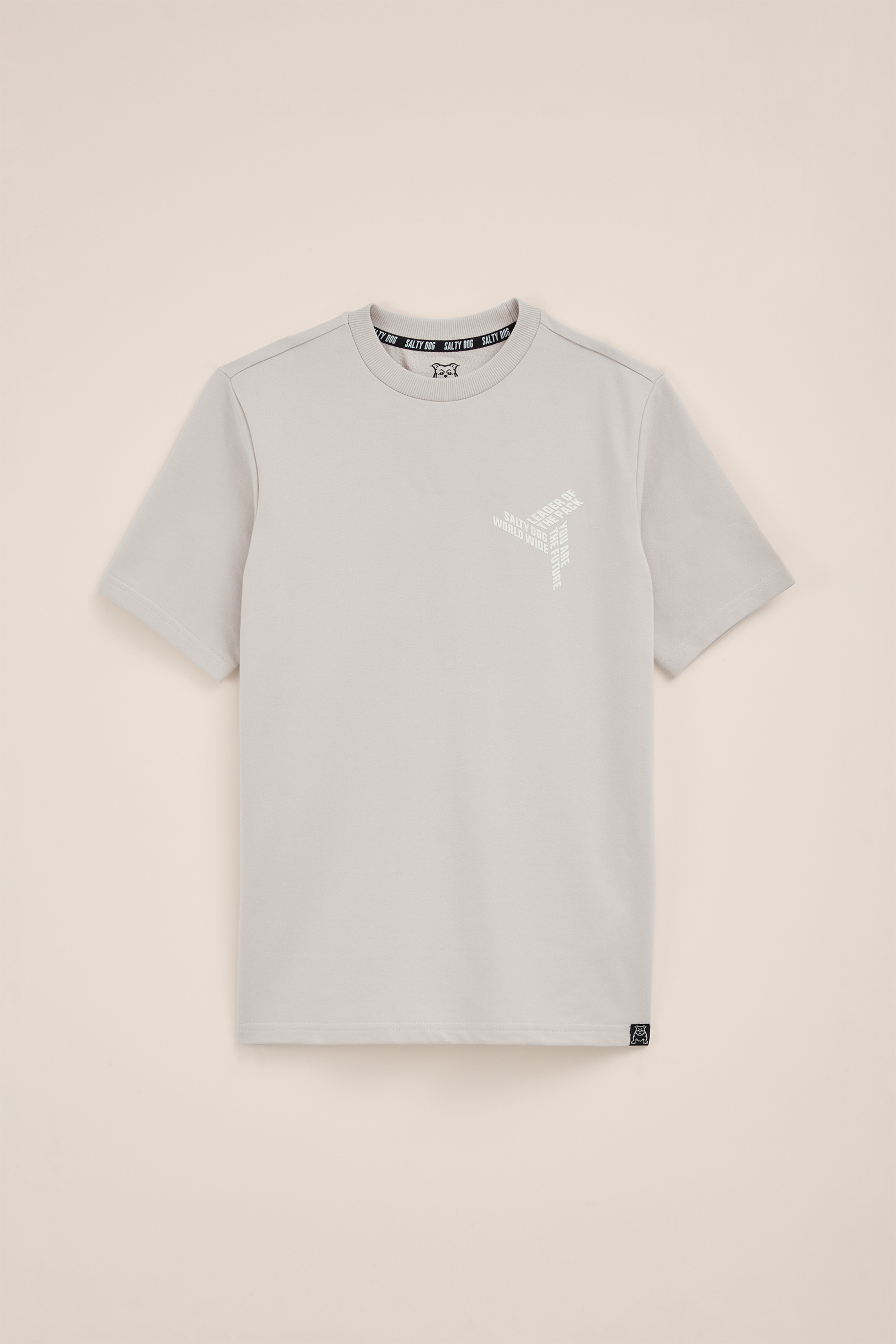 Jongens lichtgewicht sweat T-shirt Salty Dog Beige