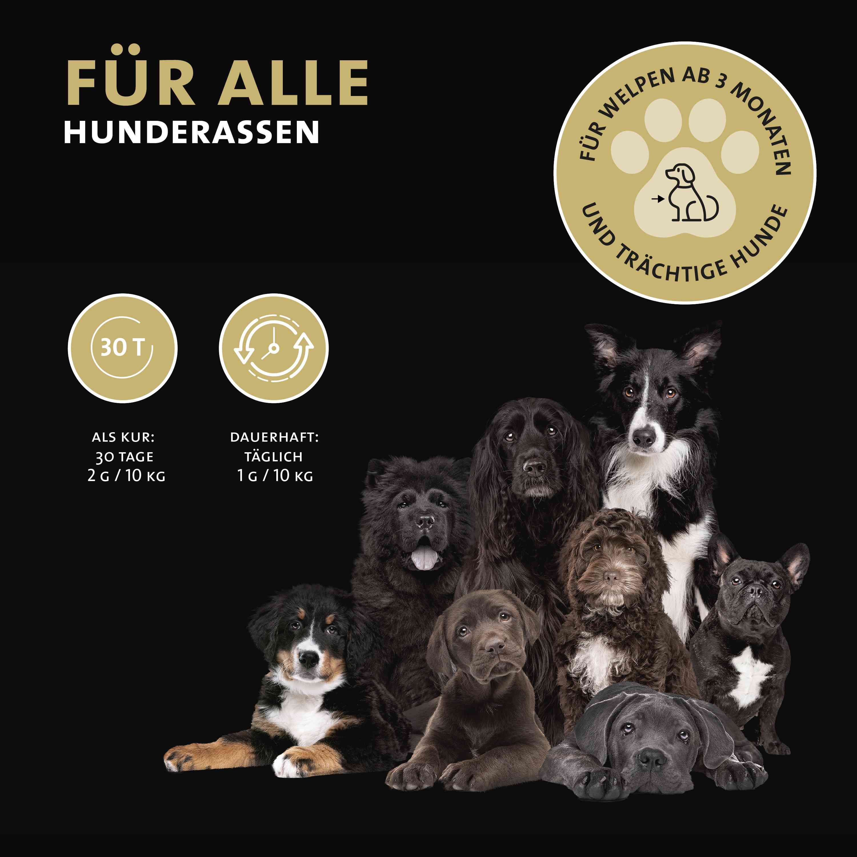 Peticare Ergänzungsfutter Pulver für sportliche Hunde, für Ausdauer & Vitalität