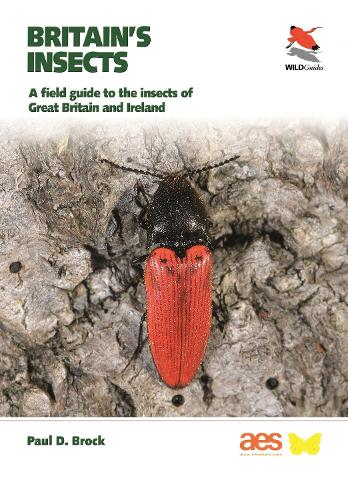 Britain's Insects: A Field Guide to the Insects of Great Britain and Ireland - WILDGuides (Paperback)