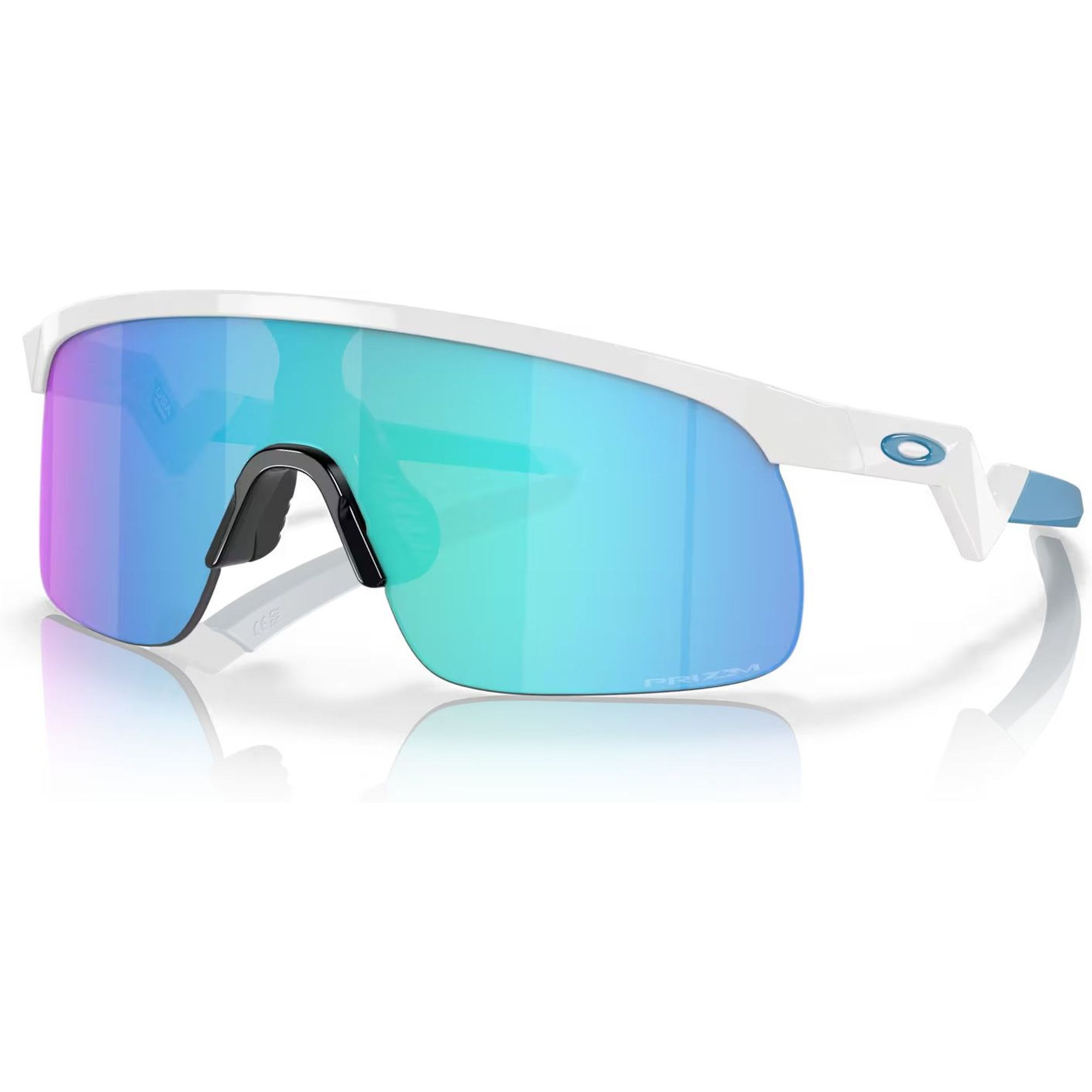 OakleyResistor (Youth Fit) Re-Discover Collection