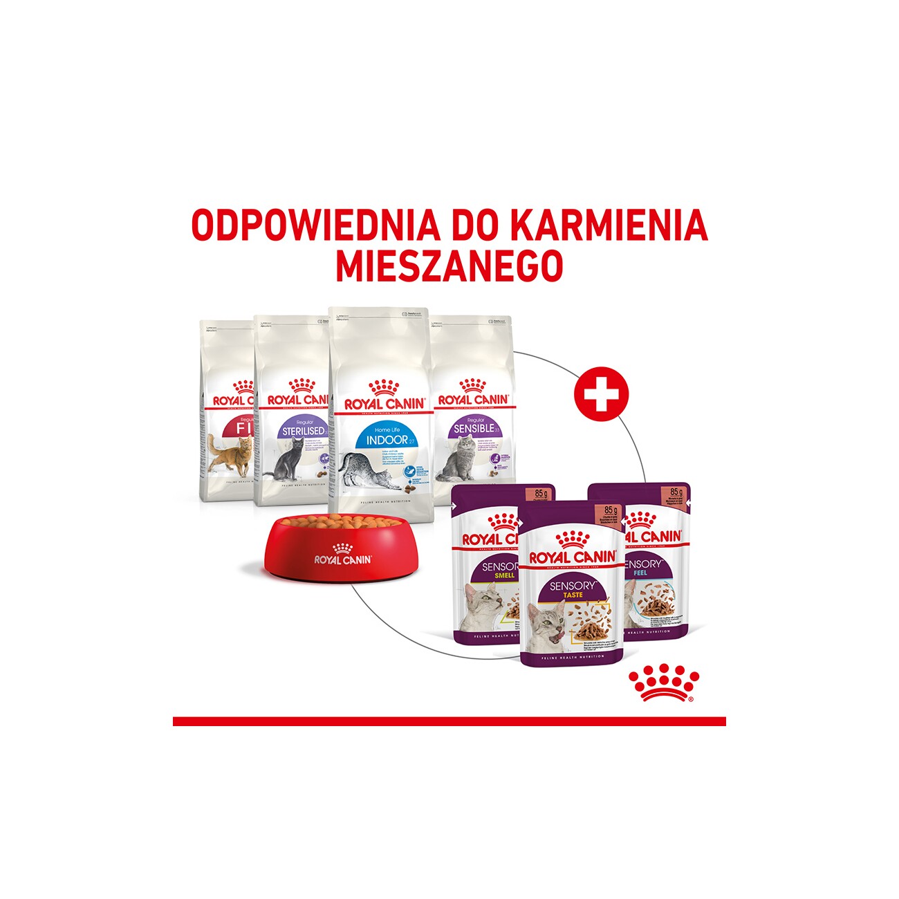ROYAL CANIN Sensory Feel in Soße für wählerische Katzen 12x85 g