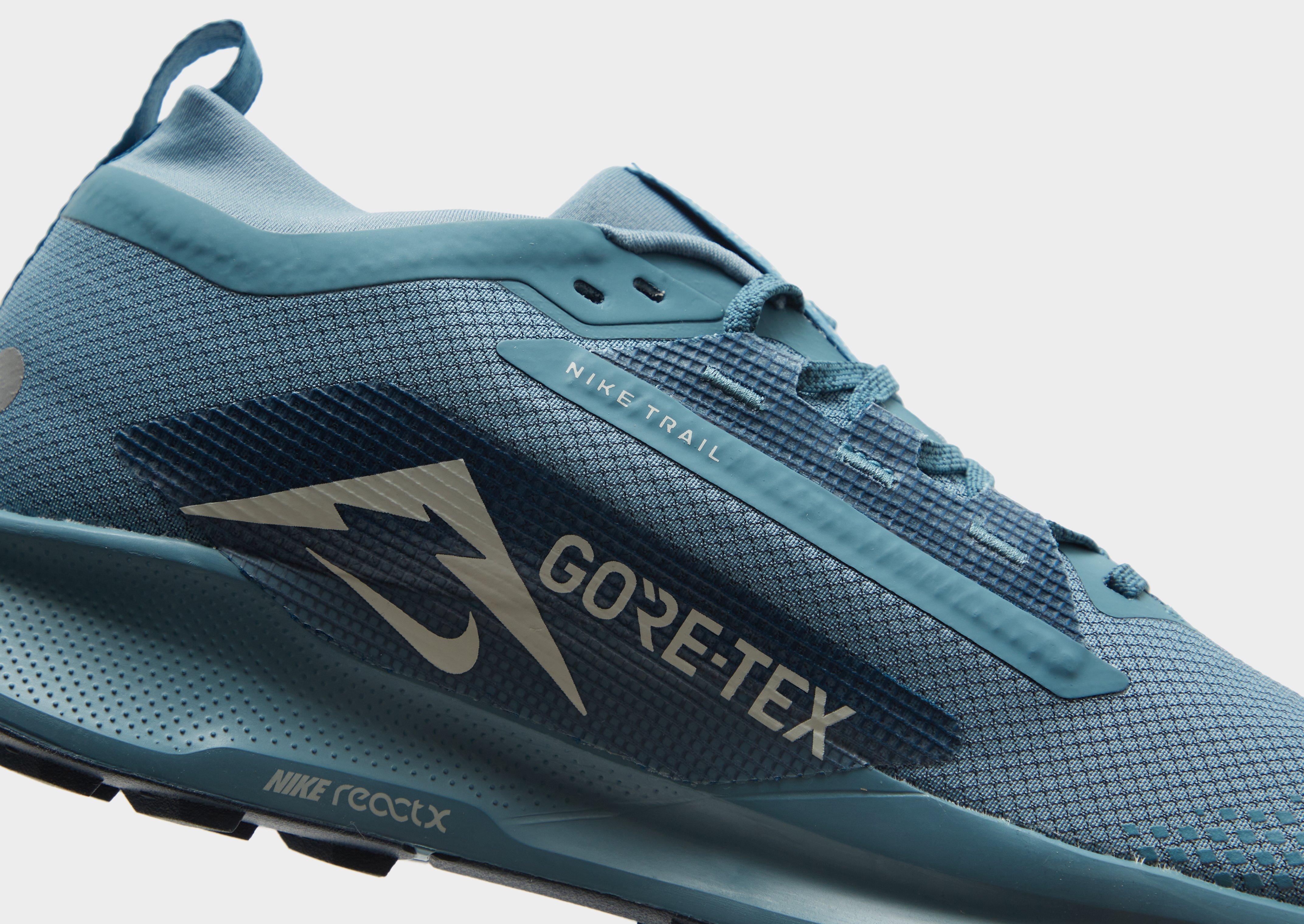 Nike Pegasus Trail 5 GORE-TEX Homme