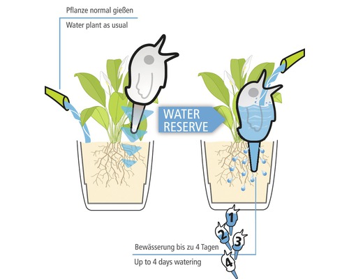 Scheurich Bördy S groene waterdispenser