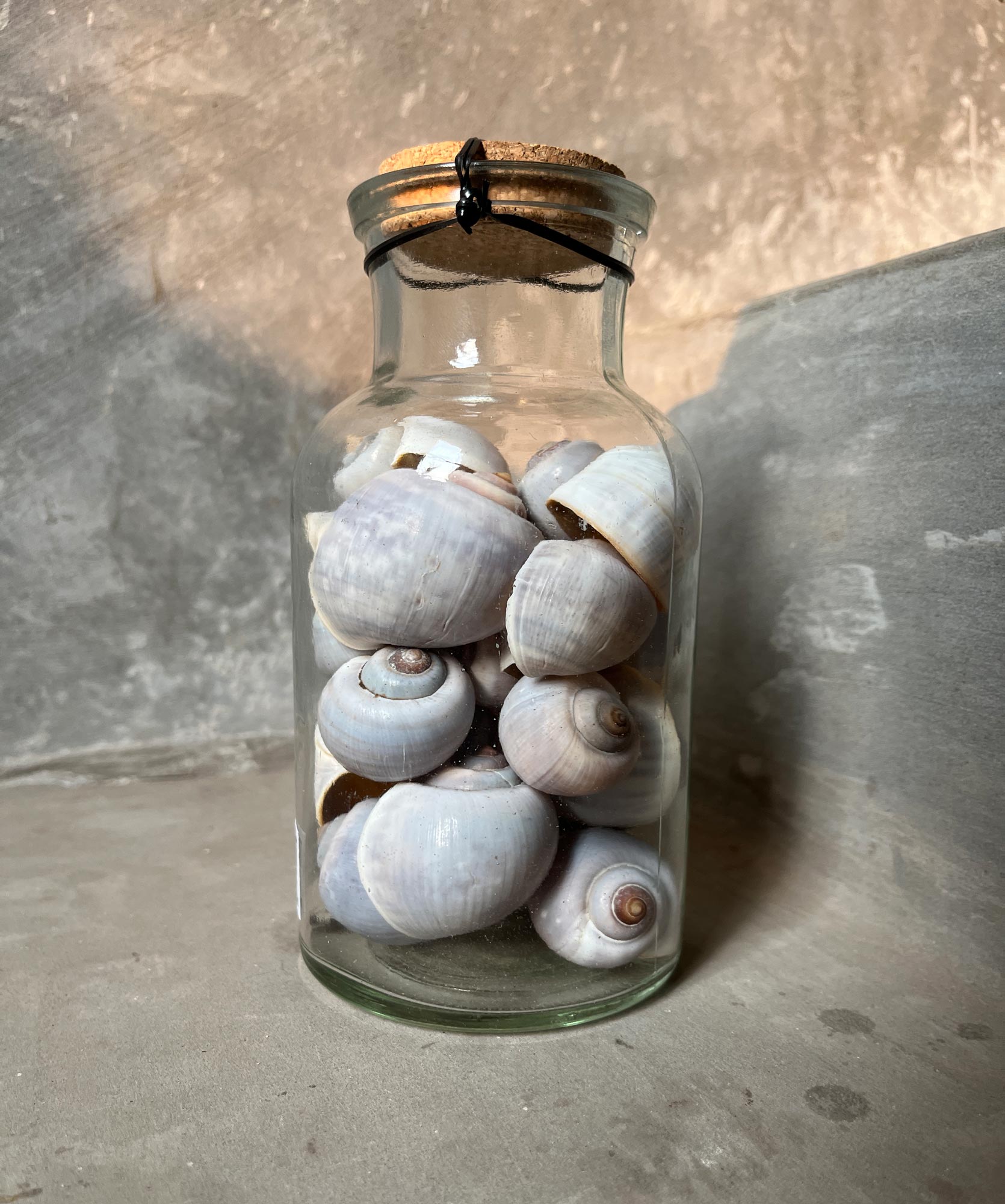 Muschelmix in Glasflasche, H 17 cm, Ø 8,5 cm von fischer's lagerhaus