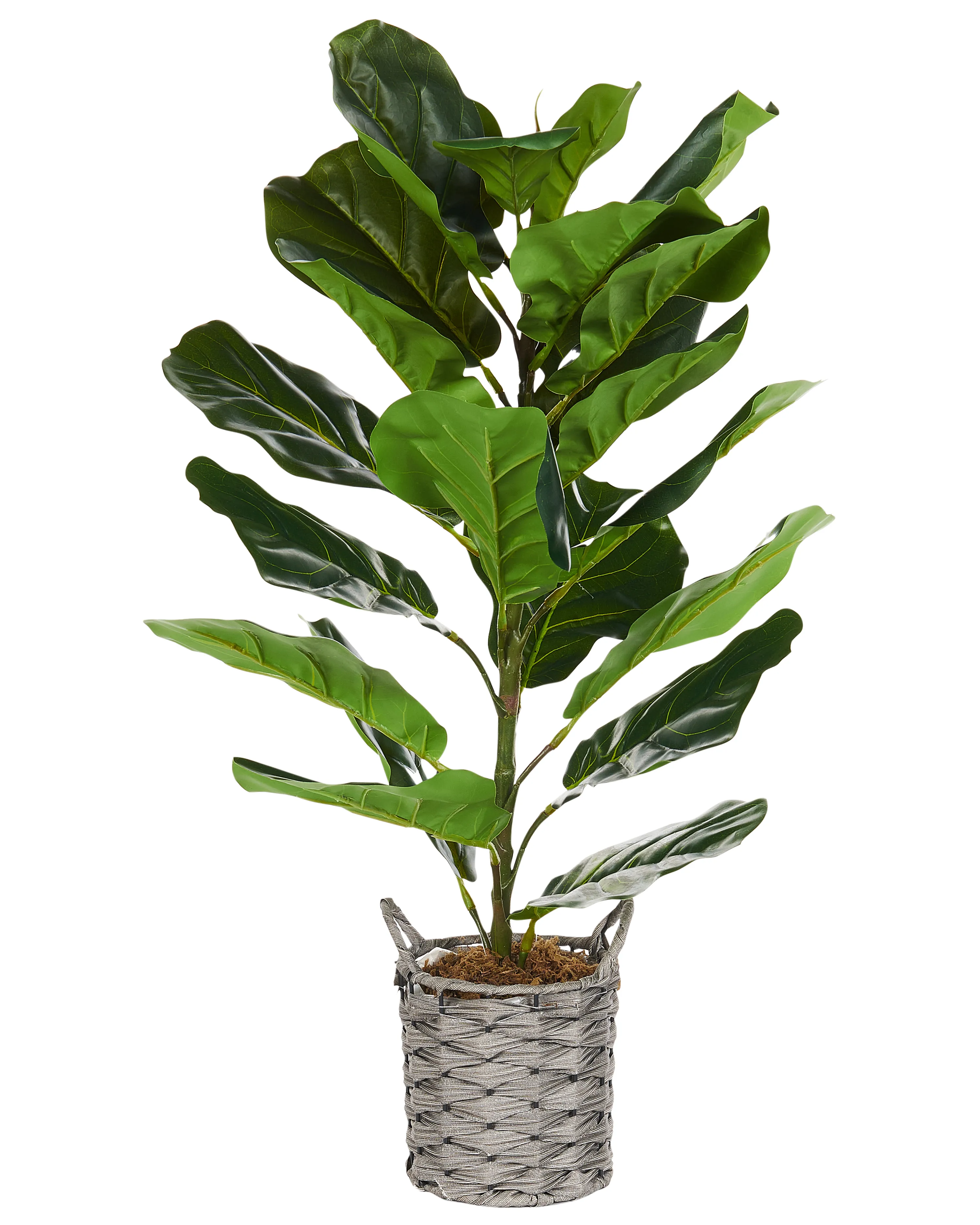 Kunstplant FIDDLE LEAF TREE 72 cm Groen