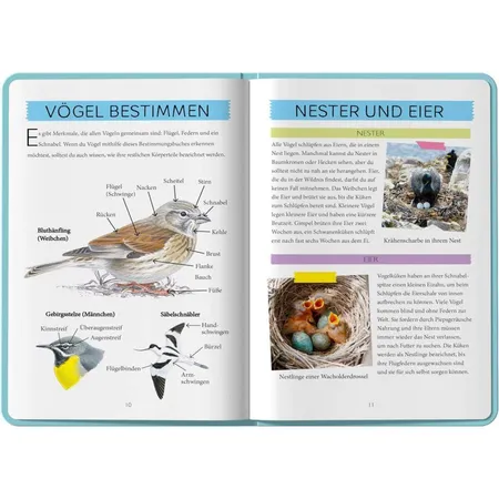 HABA 304603 Terra Kids Entdecke die Vögel