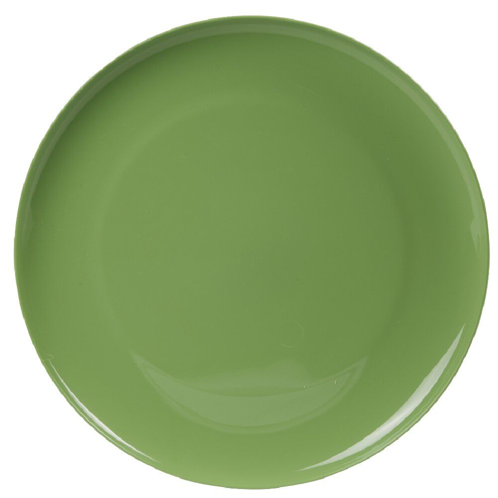 Assiette en plastique couleur unie x 4