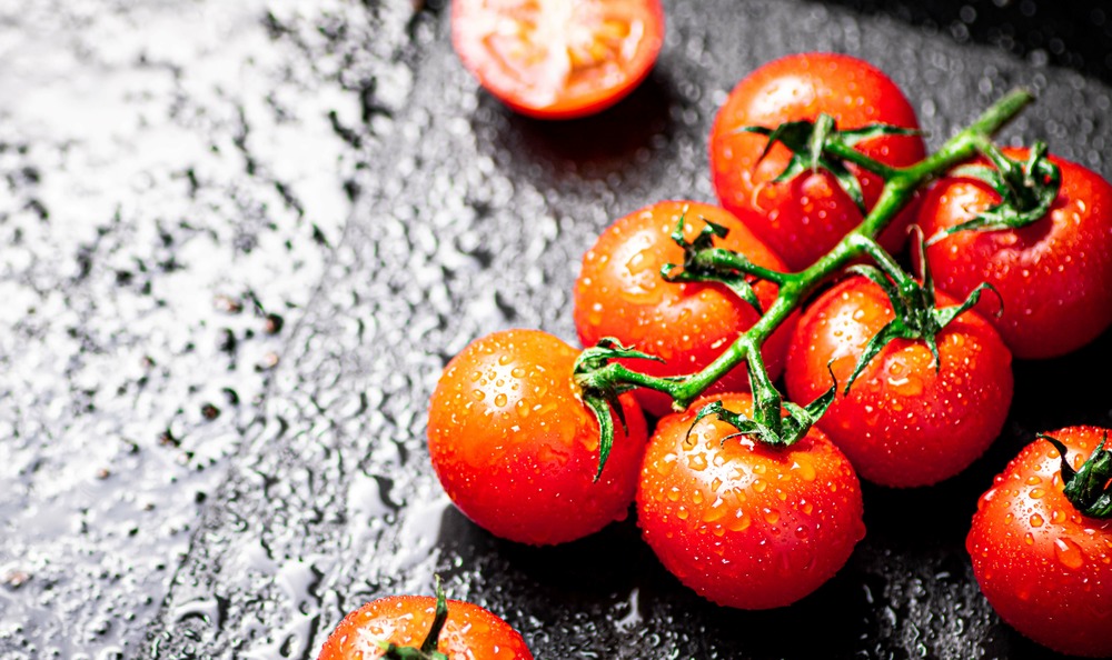 Sachet de graines de tomates premio - sachet de 0,1 gramme - petite entreprise française - made in france