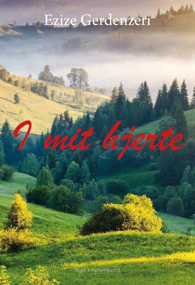 I Mit Hjerte - Ezize Gerdenzeri - Bog