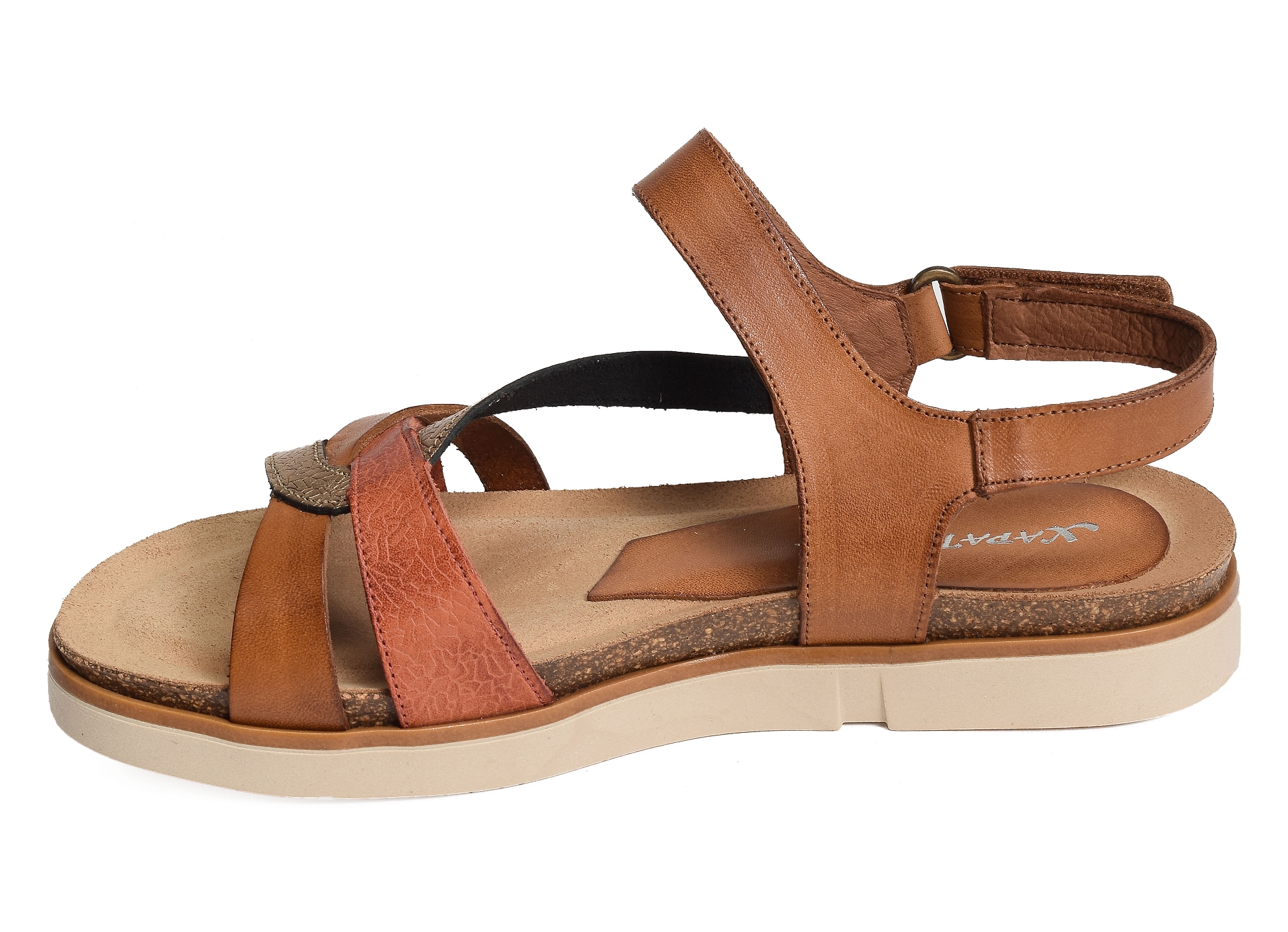 1633 camel