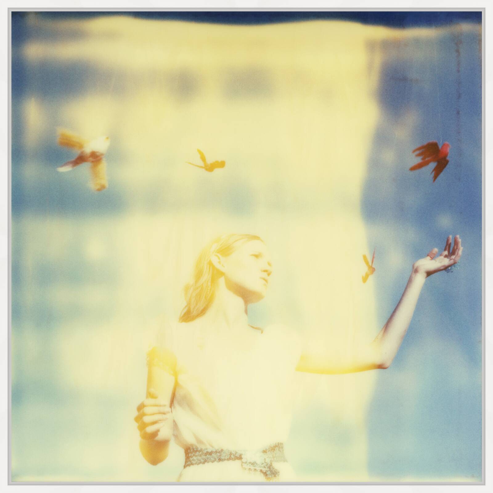 Enchantment by Stefanie Schneider - Limited Edition. Edition of: 150. Signed.