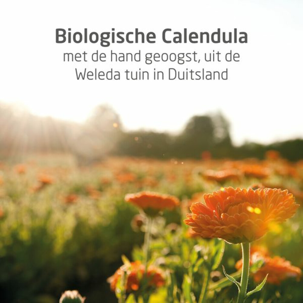 WELEDA Baby Calendula Babyshampoo & Douchecrème200 ml