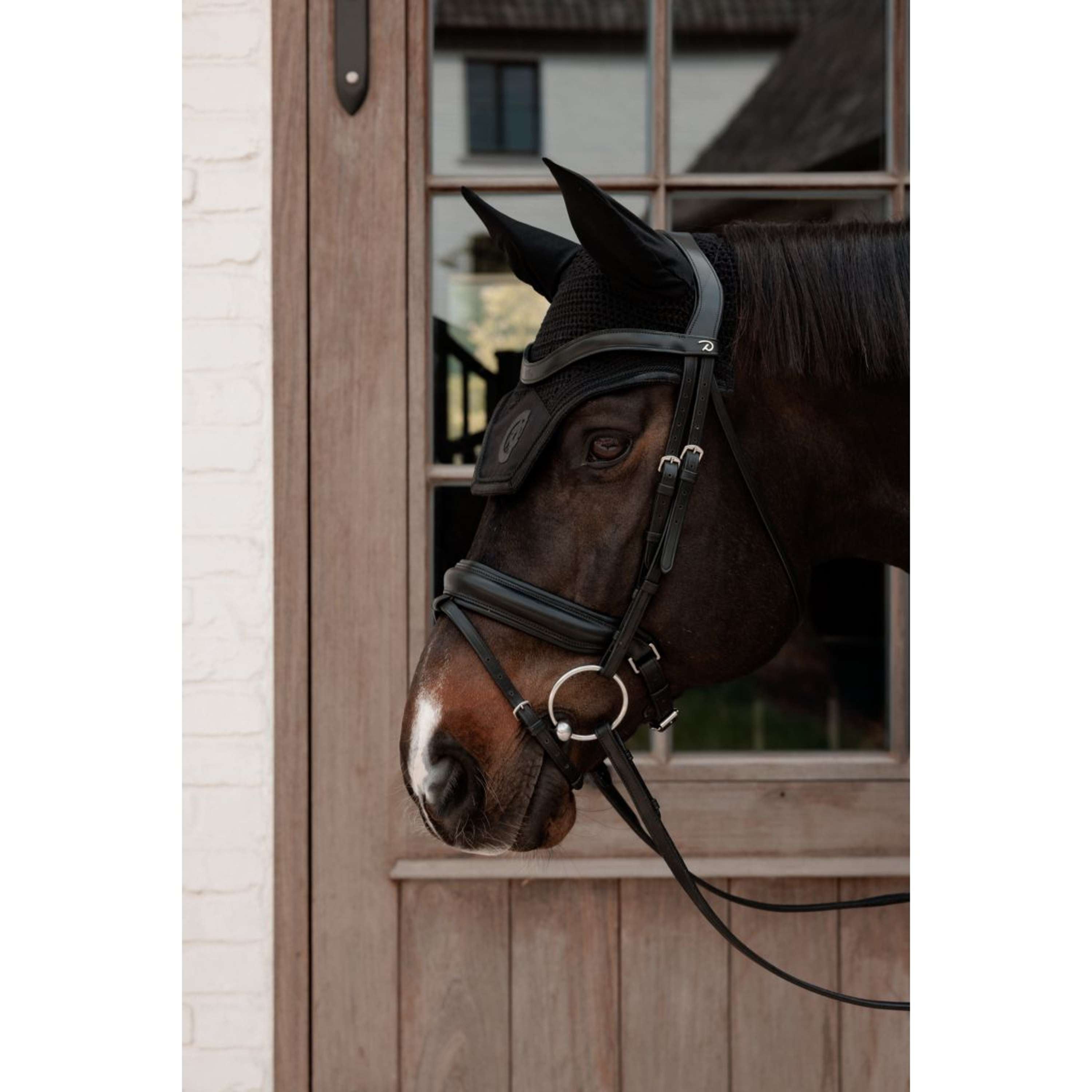Kentucky Oornetje Wellington Sparkling Logo Zwart