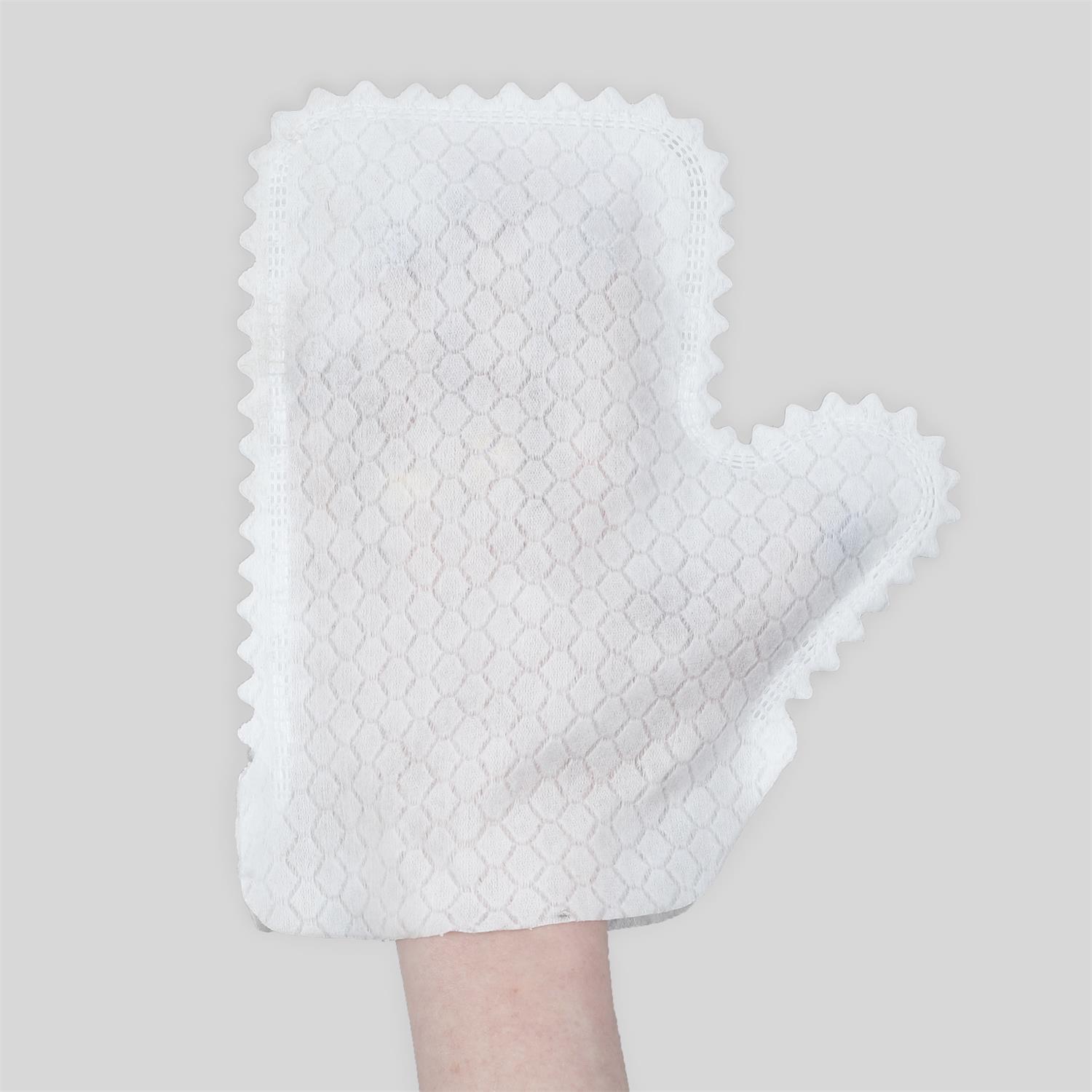 GANT ANTI POUSSIERE SEC OU HUMIDE X5 PIECES