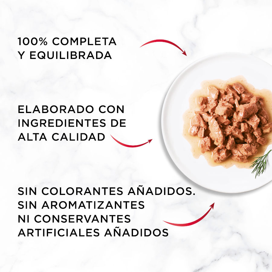 Sachê Gourmet Mon Petit Selection de Aves ao Molho para Gatos