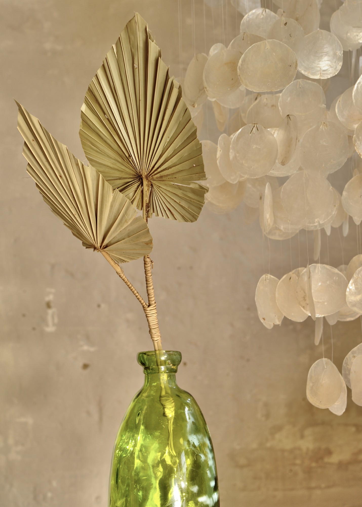 Palmyra-Palmwedel-Duo, H 100 cm von fischer's lagerhaus