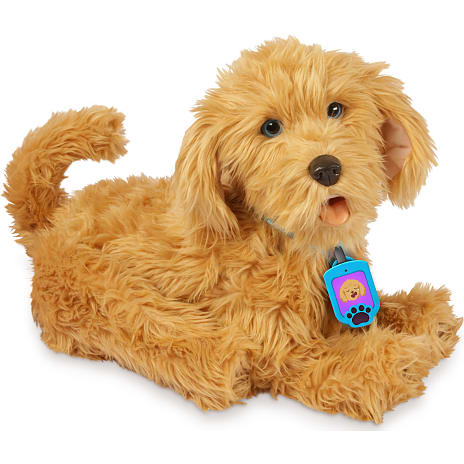 My Fuzzy Friends labradoodlen Moji