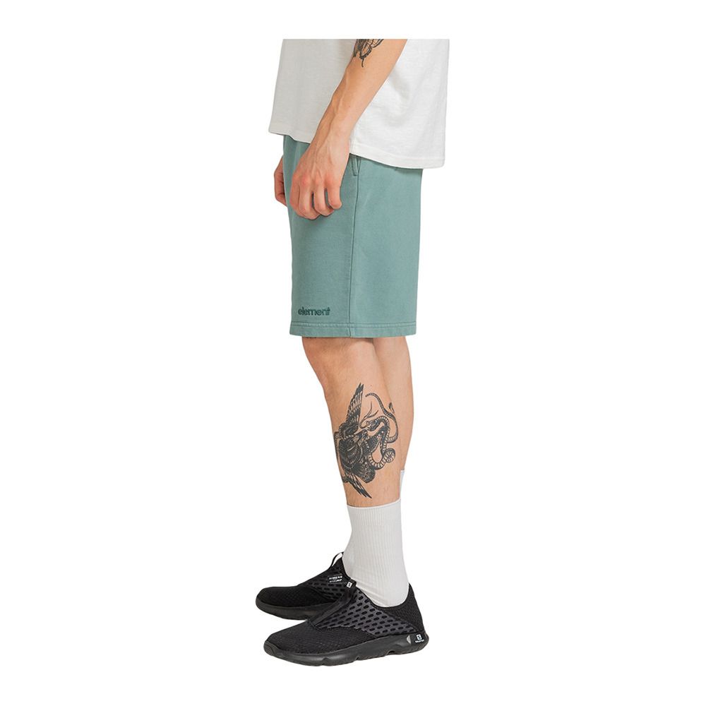 Element CORNELL 3.0 - Short Homme north atlantic