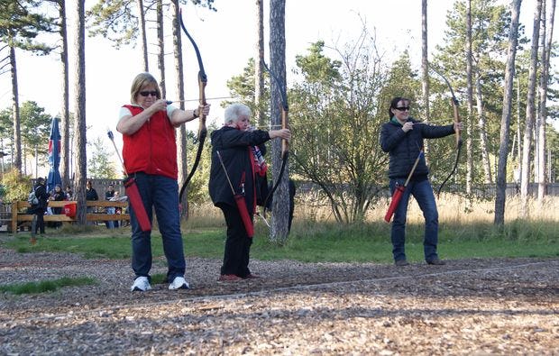 3D Bogenschießen und Waldklettergarten in Gänserndorf als Geschenk