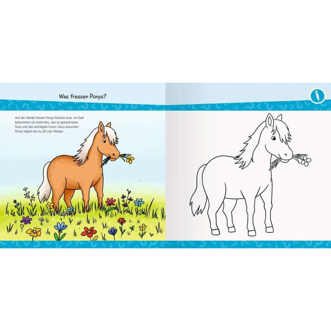 Wieso?Weshalb?Warum? - junior AKTIV - Auf dem Ponyhof - Malen, Basteln, Rätseln