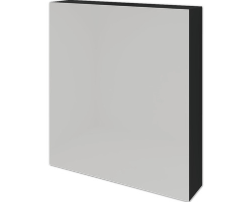 Sanox spiegelkast 60 x 13 x 65 cm, matzwart, 1-deurs