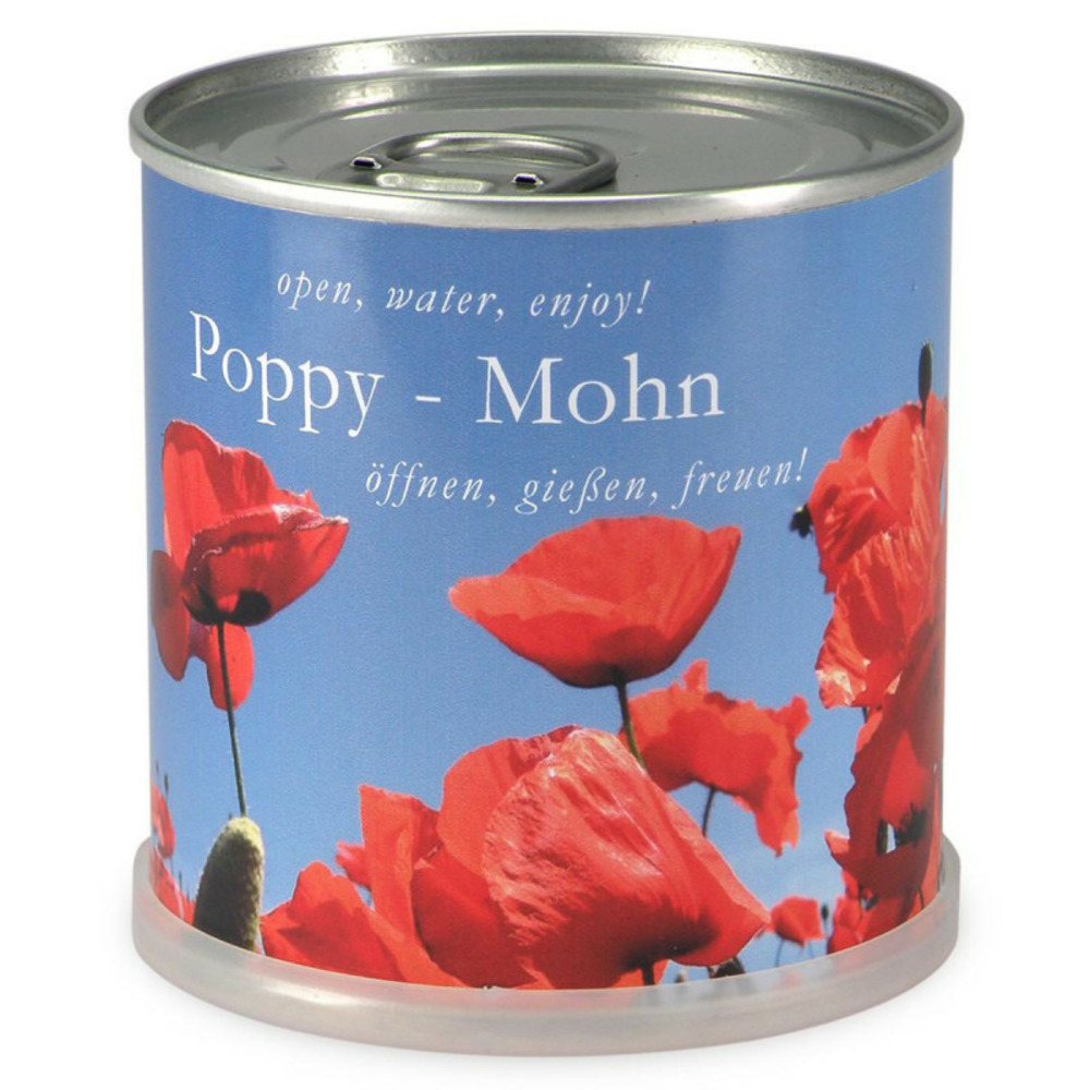 Coquelicots à faire pousser en boite