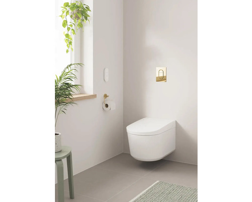 GROHE Sensia douche-wc-set, rimless, met hygiënedouche en geurafzuiging, hoogglans wit met coating, inclusief toiletzitting 36507SH0