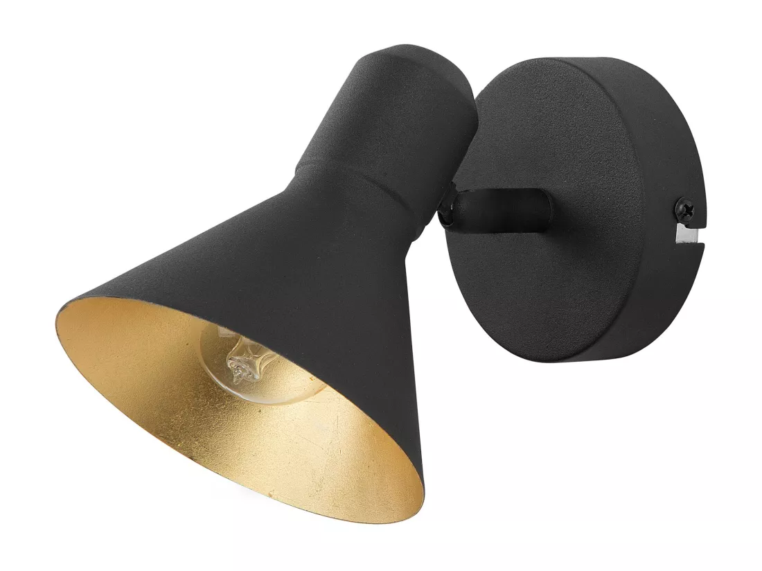 Lot de 2 spots MERSEY Réglable Métal Noir