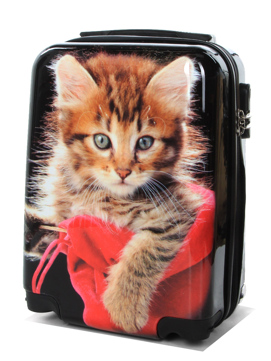 Ensemble 4 valises Madisson Chaton