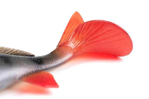 Leurre Fox Rage Ultra-Realistic Perch Replicant Swimbait 18cm (100g)