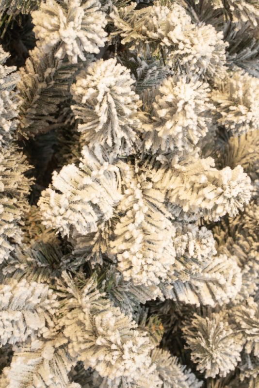 Black Box Charlton - Kunstkerstboom - Frosted - 185 cm