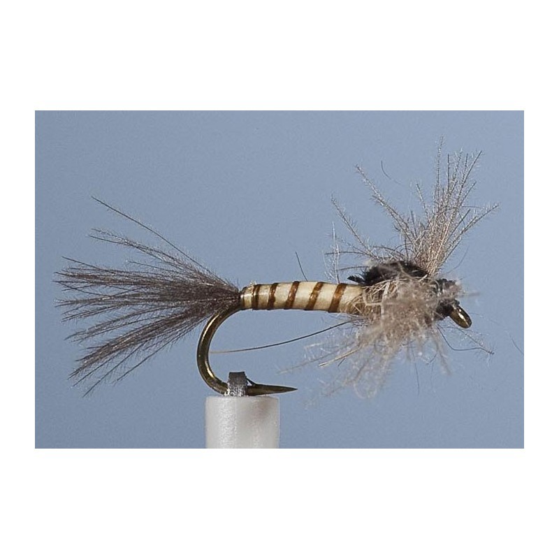 Mouche Jmc Emergente Bm 10