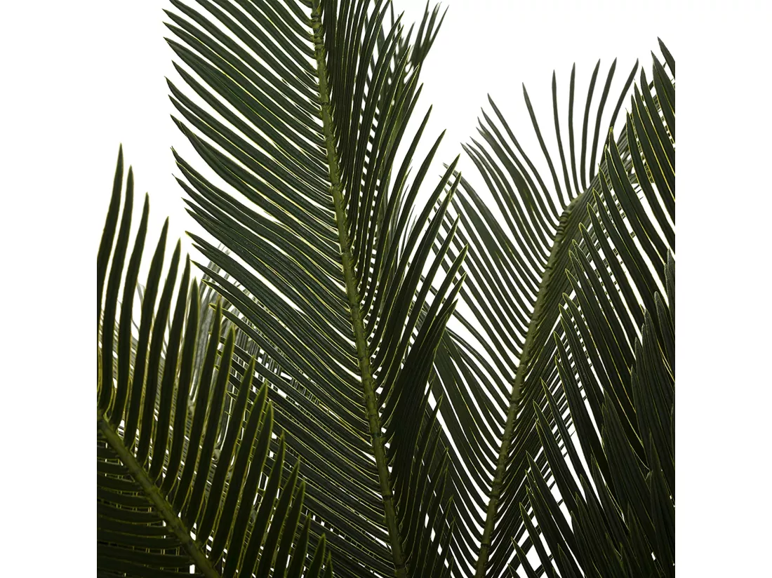 Plant d'ananas l.115 x d.115 x h 93, vert