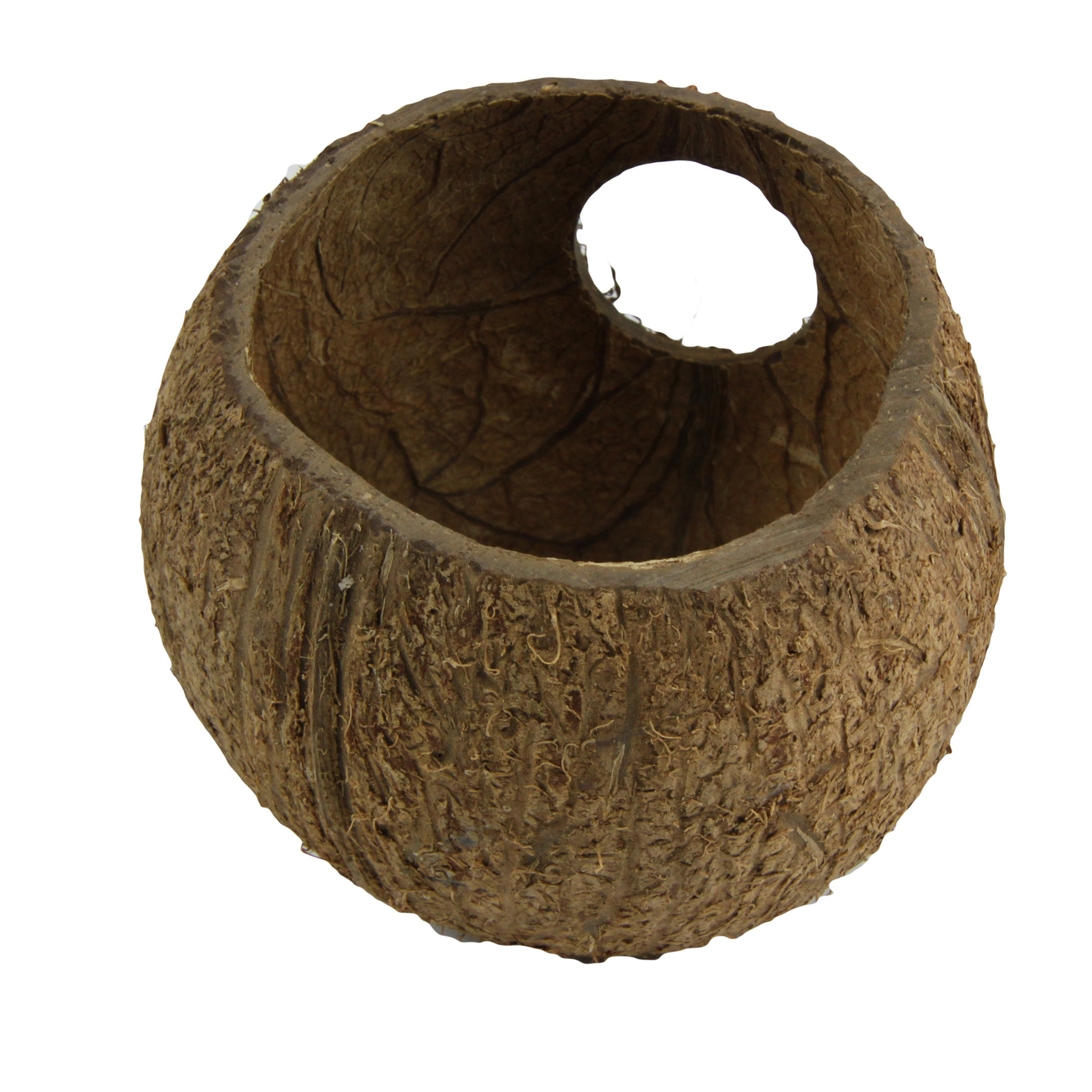 JBL Cocos Cava 3/4 Large
