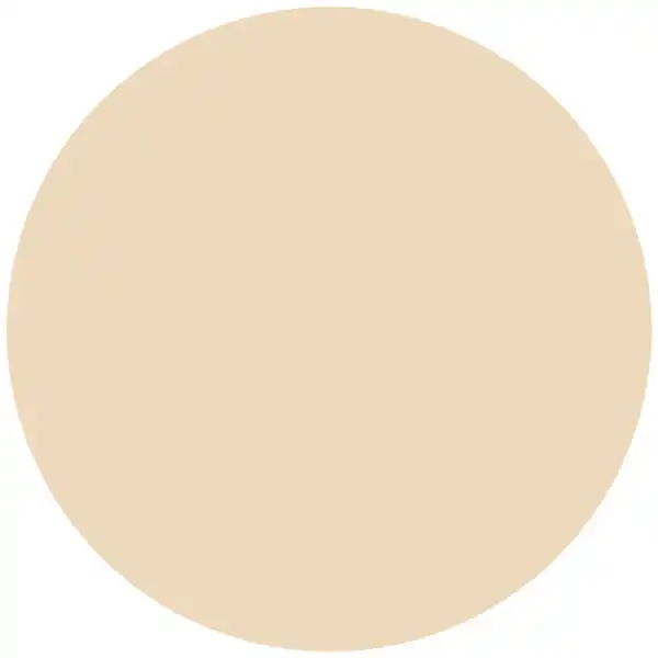 18H HD Matte Powder Foundation 005N