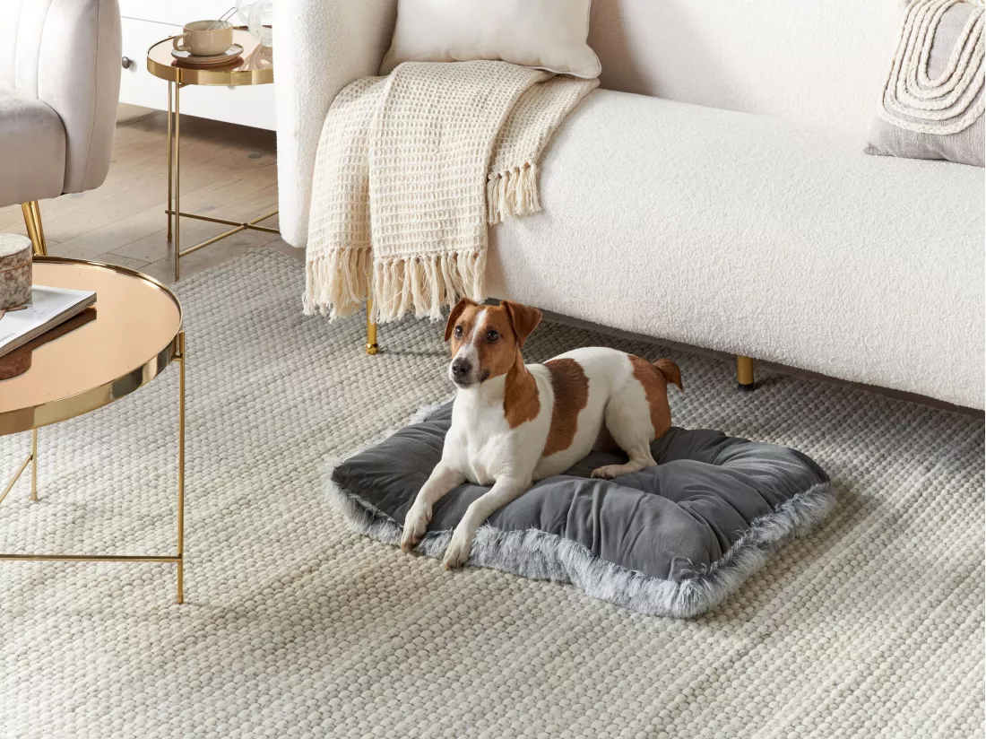 Lit pour animal ERGANI Velours Gris